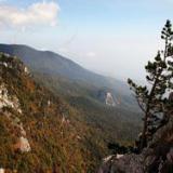 ������� ����� ������ ������