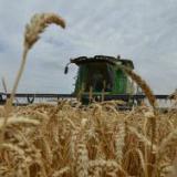 �������� ����: ������ ������ ������� ������� �����