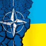 ���� � ���������