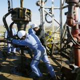 ���� �� ����� ����� �� �������� � 2009 ����