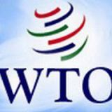 ��� �������� 20-�����