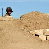 ������ � ����: ������  ����