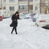 � ��������� ���������� ����������� ��������� ����������� ����