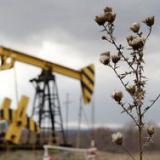 Brent �� ������� �����. 40 �������� �� ������� � �������� �������