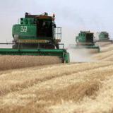 �������� ������ ������