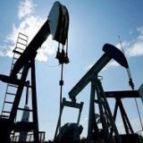 �����. ����� �����������. ������ �� 1 ���� ��������