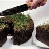 ������� ����� � �������� ��������� ������