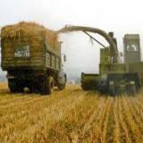 �����: ��������������� ��� ������ ������������ ������������