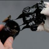 ���� ������� �������� ���� ����� �� $25 �� �������