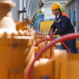 ������ ������ ����� ����� ������� �� ���