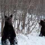 ������ ���������� ����� ��������� ��������� �� �����