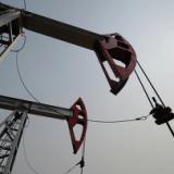 ���� �� ����� ����� �����