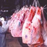 ������ ������� ������� �� ���� �������