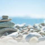 ���� �������� �������: ������ ����������