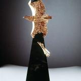 ��������� �������� ������ �������� ����