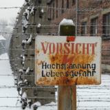 Spiegel        