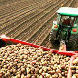 ���������� ������� �� ������� ����������� �� ��