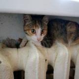 � ������� ������ �������� ��� �������