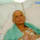 �������: ���������� ������� � ����� ������ ������