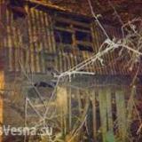 ������ � �������� ��� �����, ���� ������������ ���