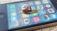 Apple      iPhone    