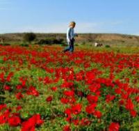 � ����� ������������ ���� ������, ���������� � �����