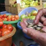 � ���� ������