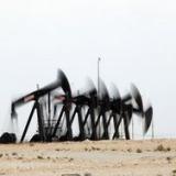 ����: ����� ������ �� ����� ������ 100 ��������