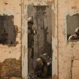 ���� �������� ��������  ����������