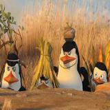 � �������� ������ ������� ����������