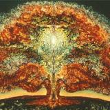 ������ ��������. ������� ������ ��������