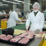 ������ ������������ ���������� ��������� ��-�� �������