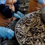 ���������������� ��������� ���������� � ���������� �������