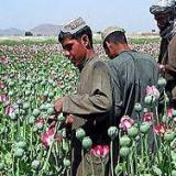 ����: ������ �� ���������� ���� �� ������� ���������