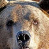 ������� � ������