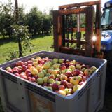 ���������������� ��������� �������� ������� �� ������ �������� �����