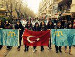 Turkey decided to interfere