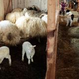 �������� �������� � ������ �������� � ��������