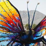      Coachella  2015