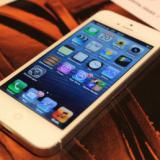 IPhone     10%