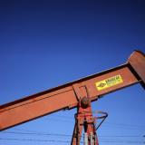 ���� ������� ���� ��������� ������ �����