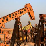 ��� � 2020 ���� ������� ������ �� ������ ����� �����