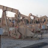 ������ ����� � ��� �������� ��������� � 1973 ����