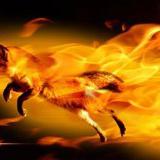 Mozilla     HTTP  Firefox