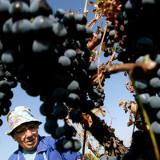 ���������������� �������� ��������� ������ � ������� �� ��������