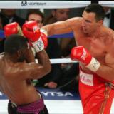      IBF, WBA, WBO