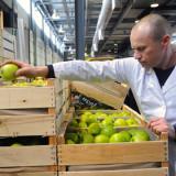 ���������������� ������ ��������������� ����������� ��� ���������� ����� �� ��