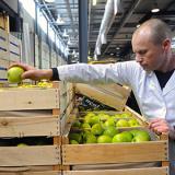 ������ ���������� �������� ����� �� ������