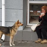 ����� ����������� ������� �������� ��������� �� ����� ���