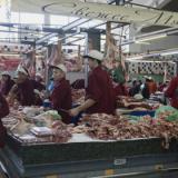 �������� ����� ���� ������ ����